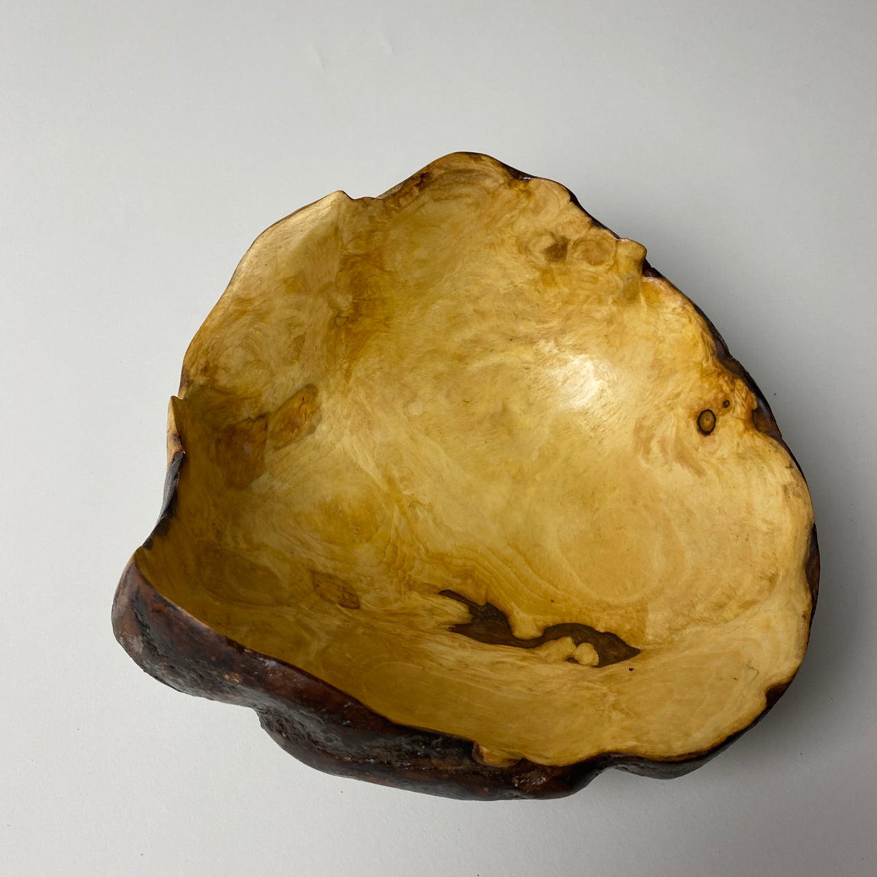 Product Image of #16: Bark On #1