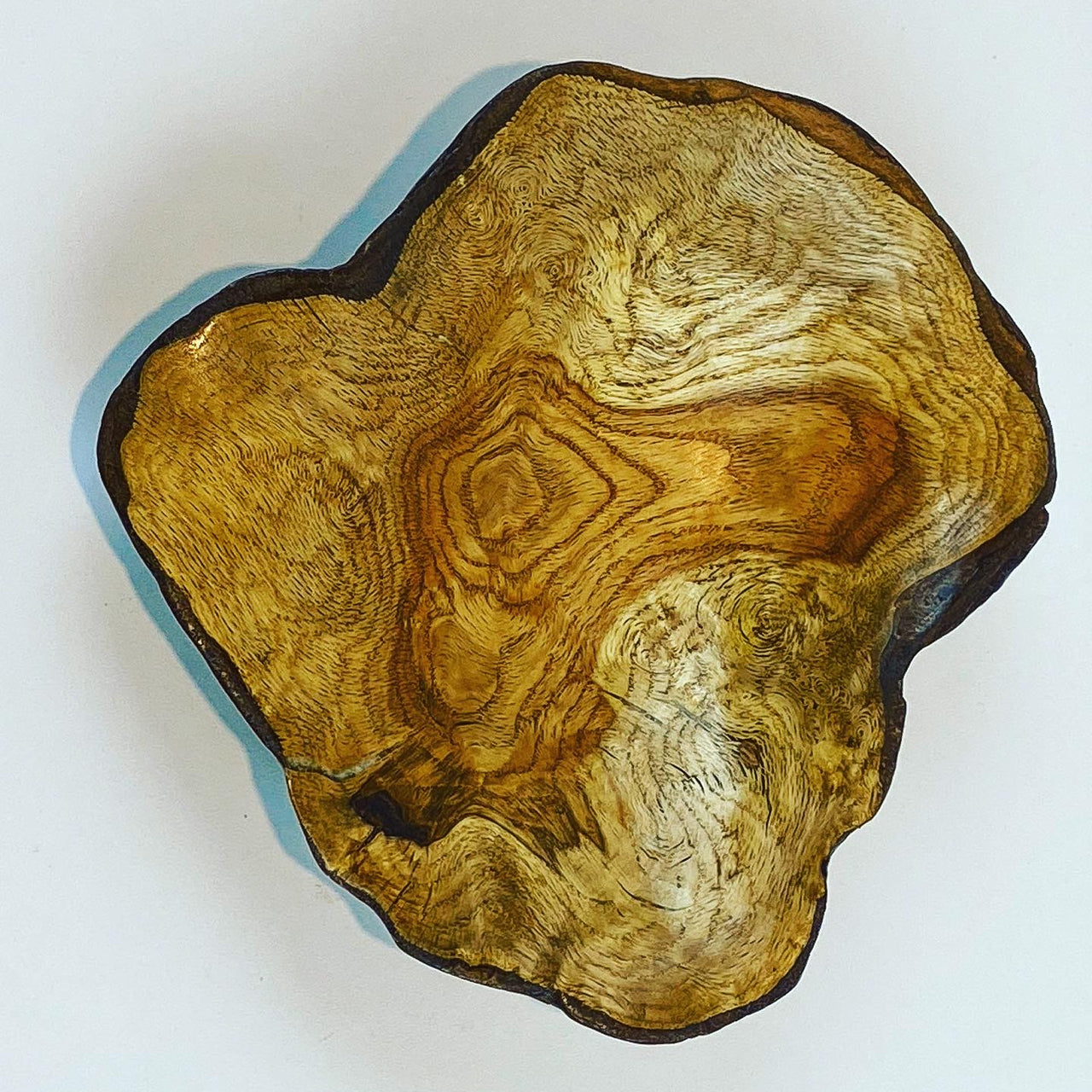 Product Image of #24: Redheart #2