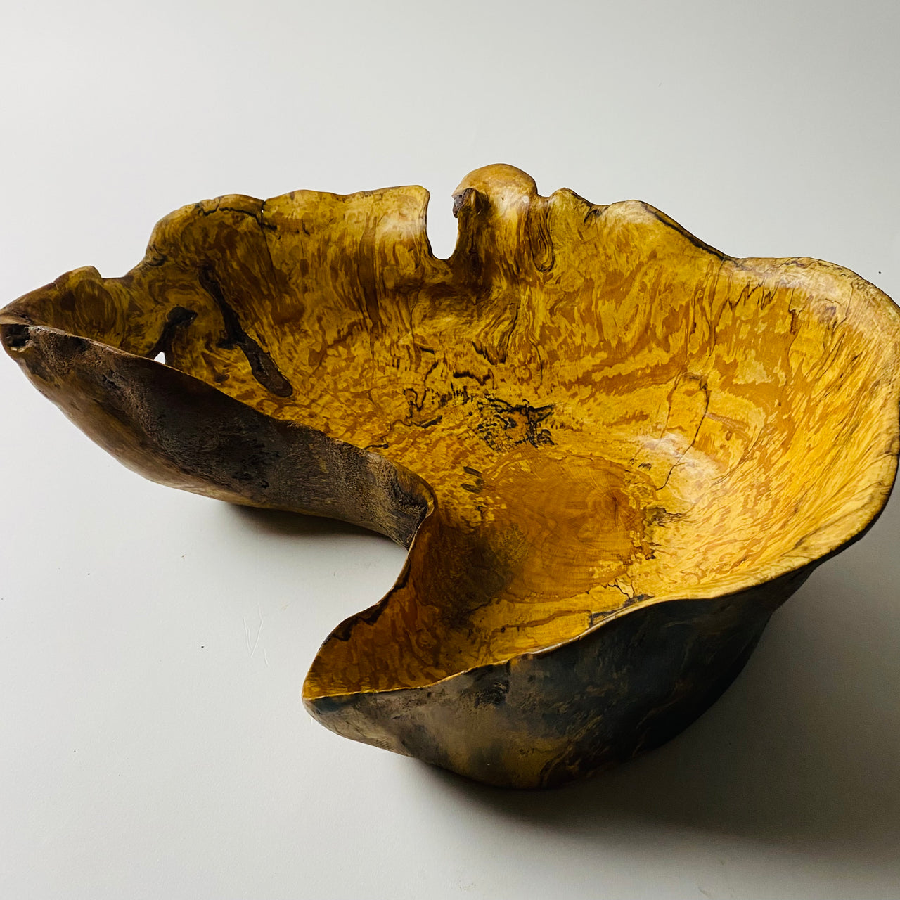 Product Image of #15: The Curve #1